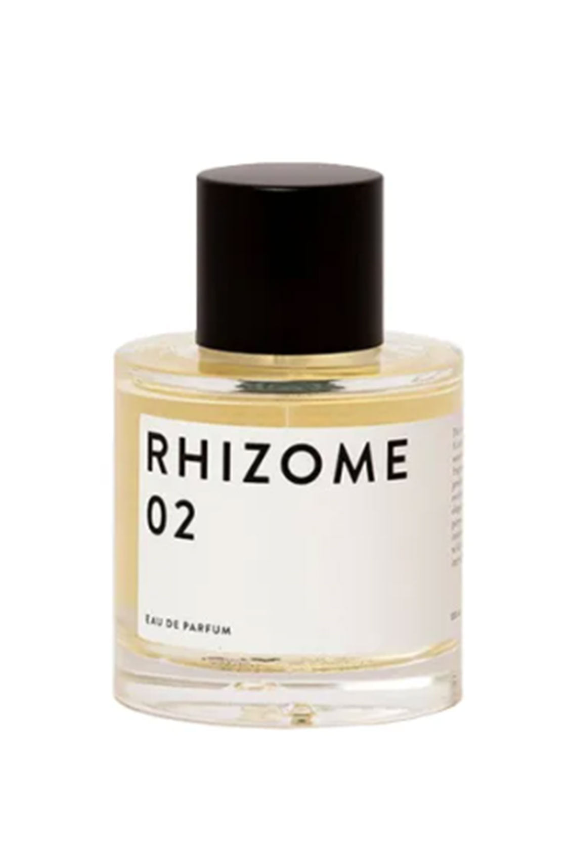 Rhizome 02