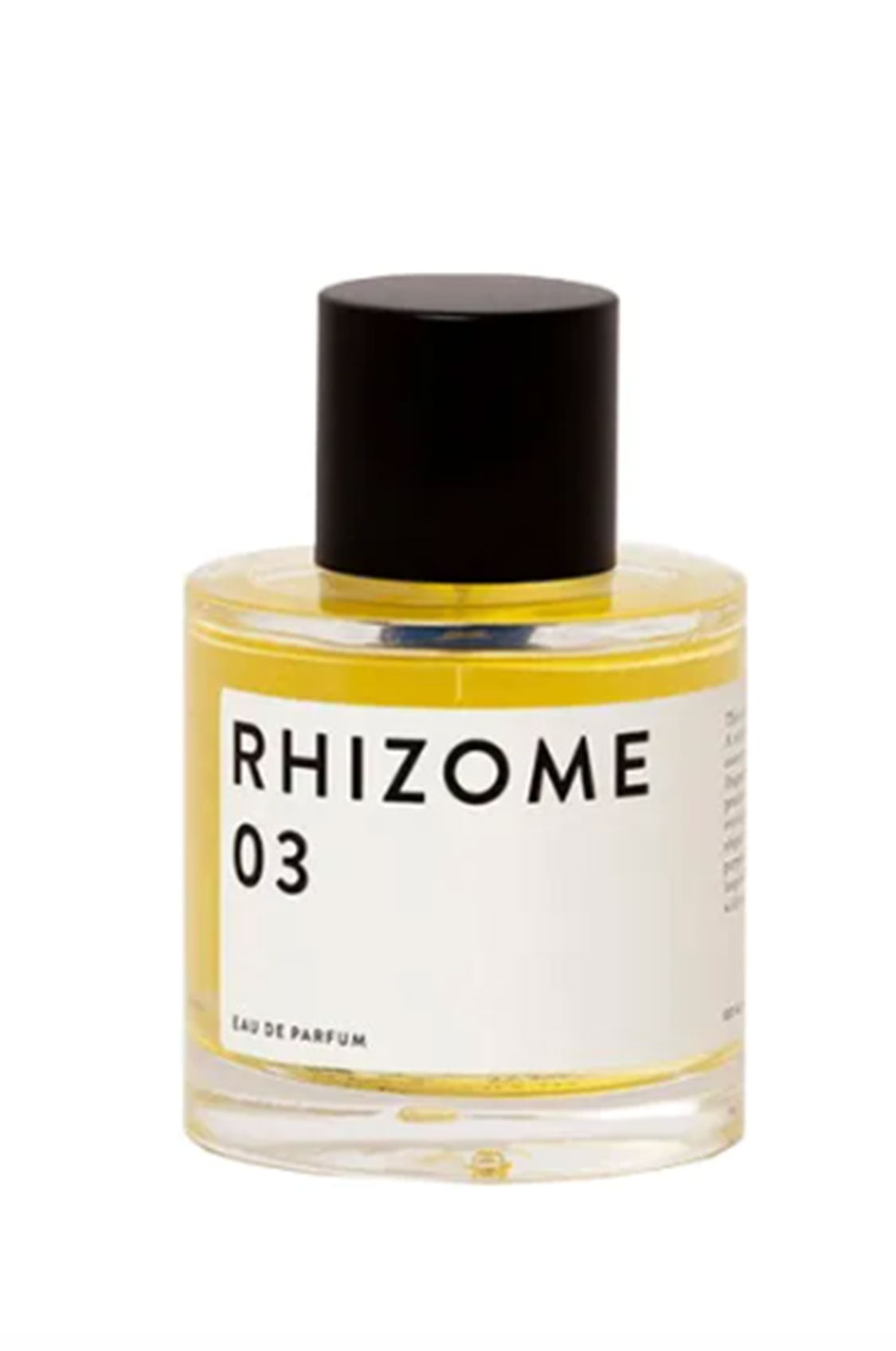 Rhizome 03