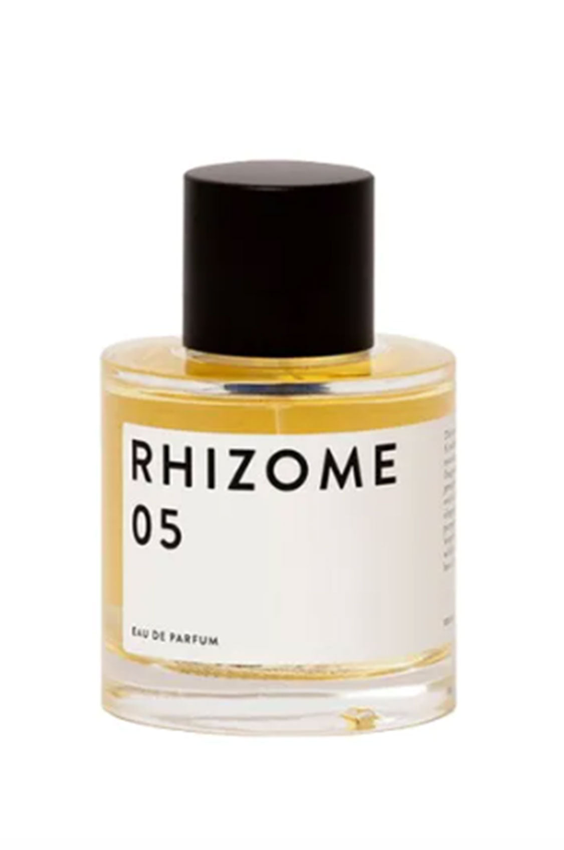 Rhizome 05