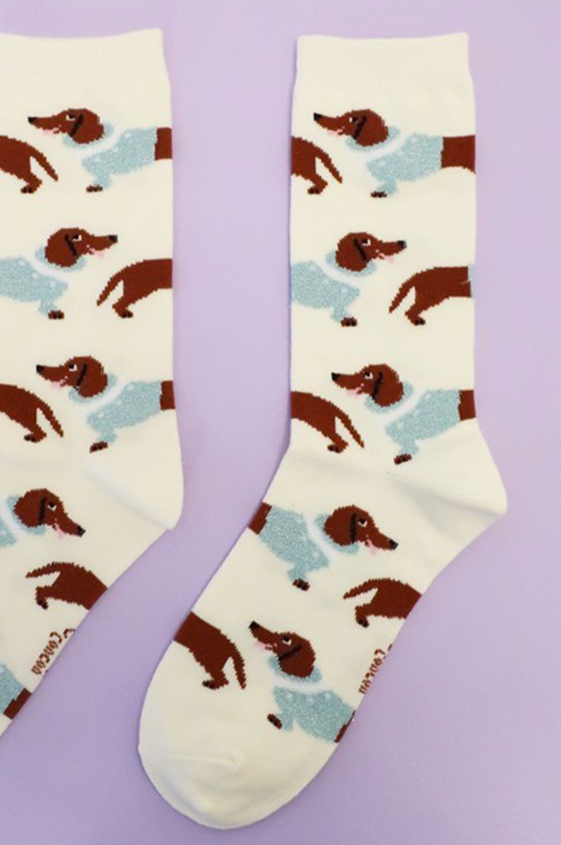 Calzini bassotto freddoloso