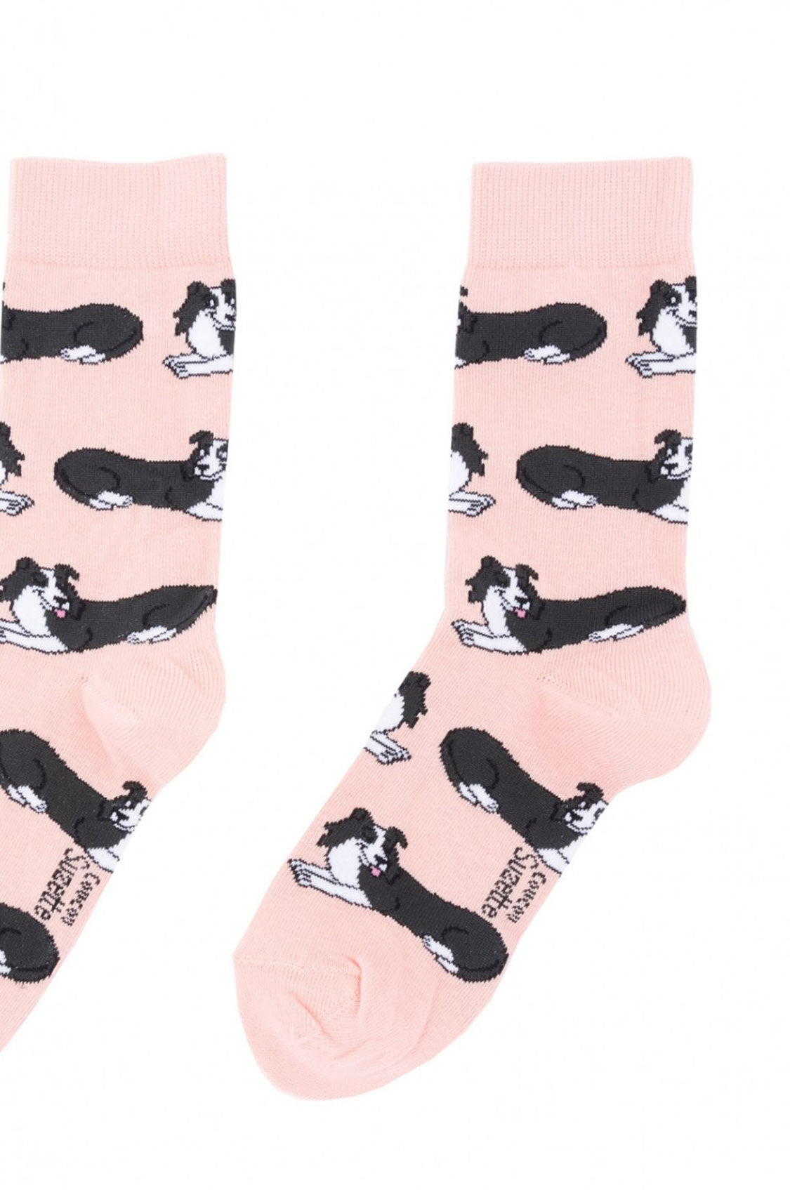 Calzini border collie